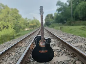 গিটার বিক্রি হবে