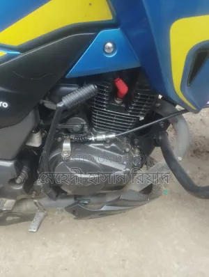 হিরো হাঙ্ক ২০২২ নীল