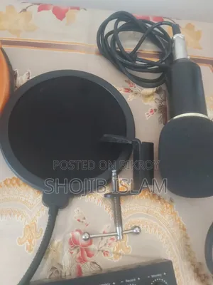 BM 800 Microphone