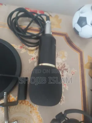 BM 800 Microphone