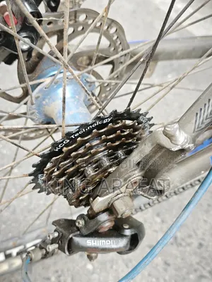 Phonex Aluminium Mountain Bike Cycle