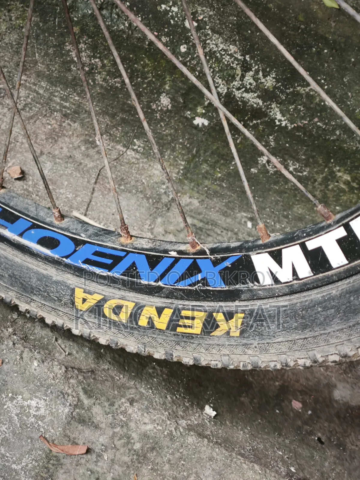 Phonex Aluminium Mountain Bike Cycle