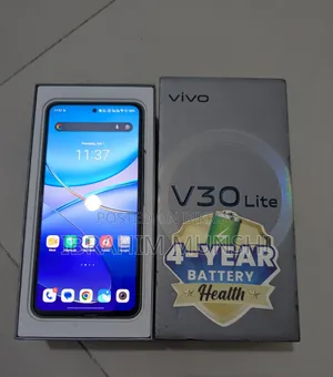 Vivo V30 Lite 256 GB Green