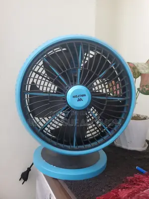 Walton Fan