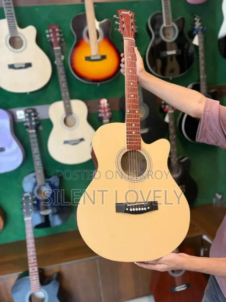 Max Guitar