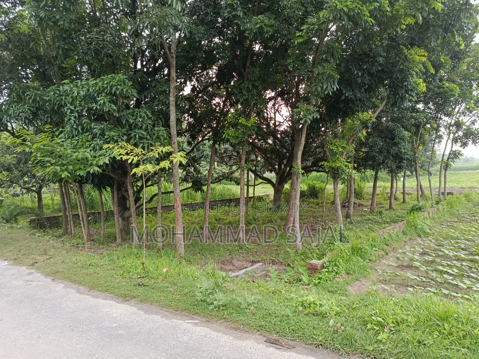৪ কাঠা জমি বিক্রয় করা হবে।