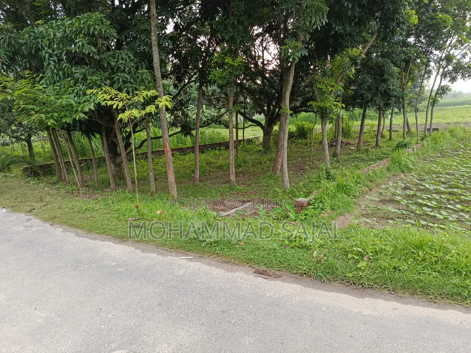 ৪ কাঠা জমি বিক্রয় করা হবে।