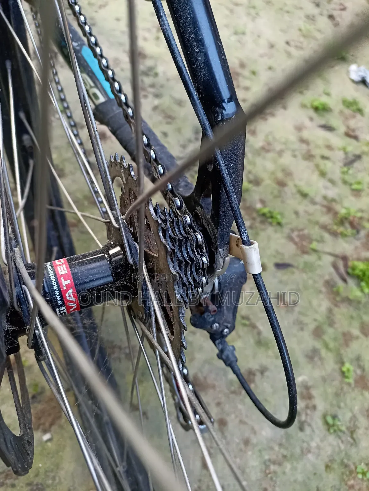 Cycle (Veloce Legion 60 Custom) Up for Sale