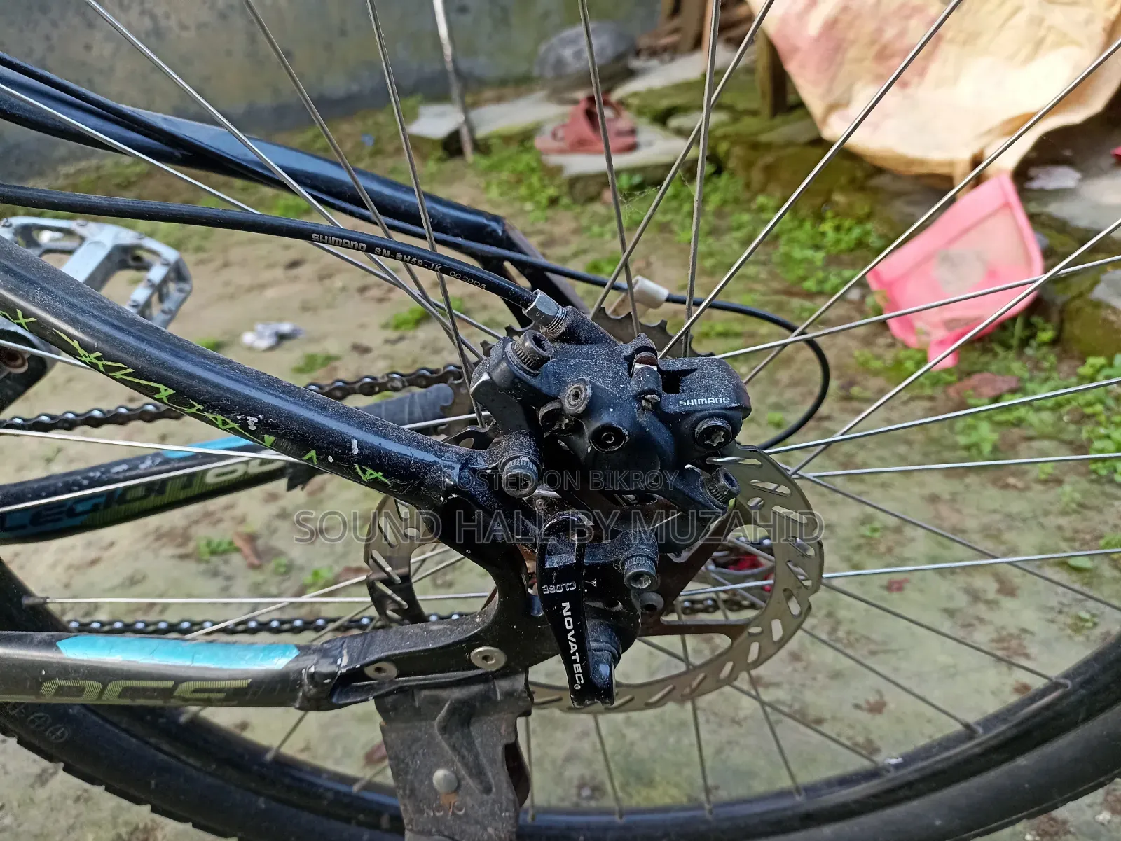 Cycle (Veloce Legion 60 Custom) Up for Sale