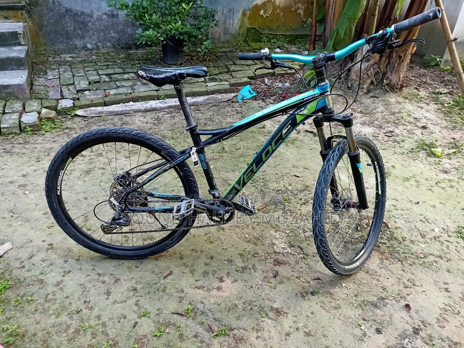 Cycle (Veloce Legion 60 Custom) Up for Sale