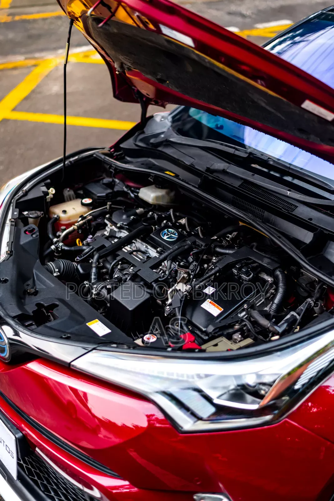 Toyota C-HR 2017 Maroon