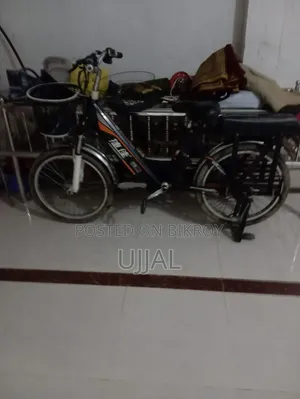 Electric Bicycle