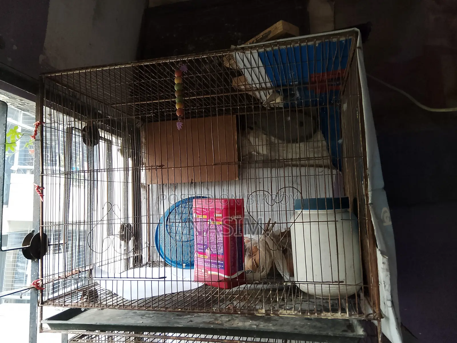 ১৮/২৪ রড ফ্রেম কেজ