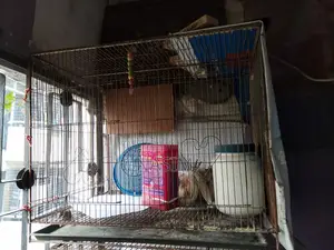 ১৮/২৪ রড ফ্রেম কেজ