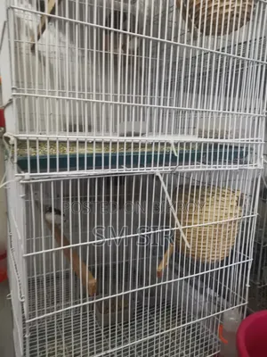 বড় এবং ছোট পাখির খাঁচা