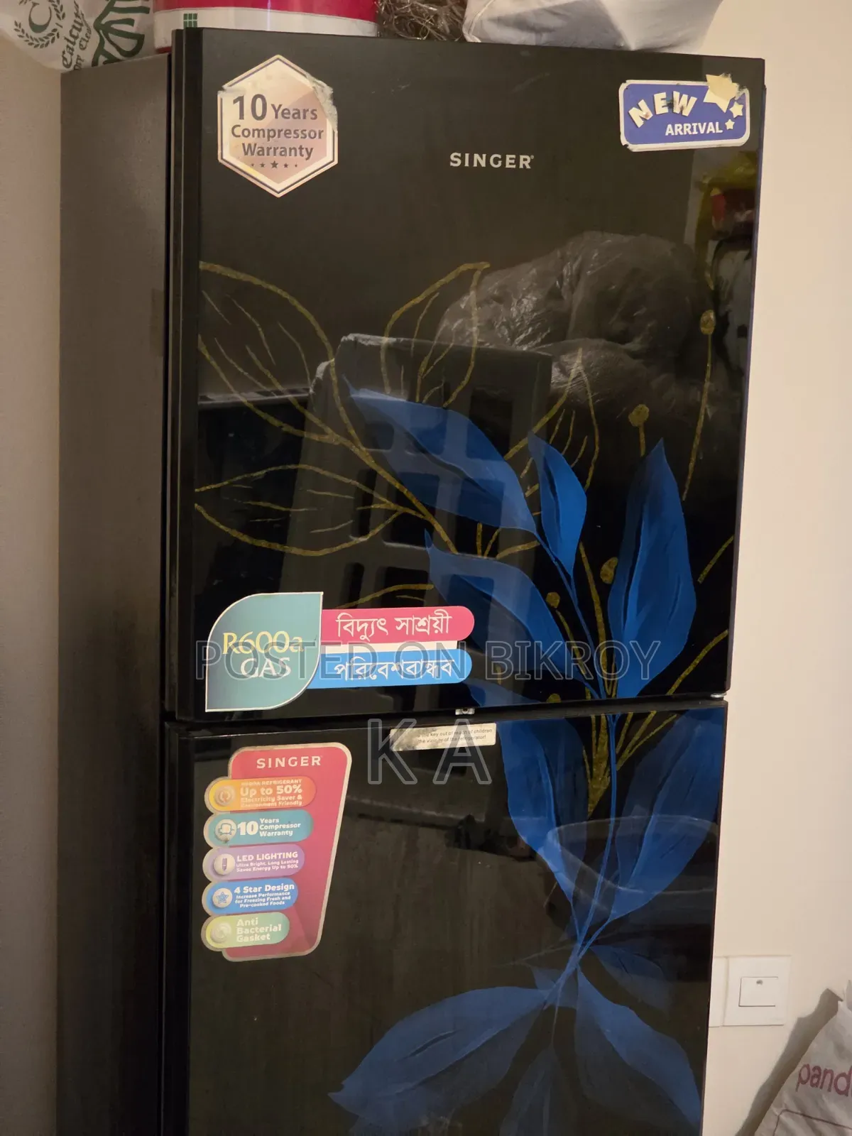 Fridge (Singer)