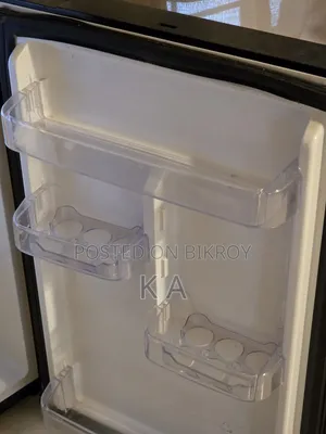 Fridge (Singer)