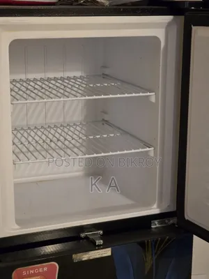 Fridge (Singer)