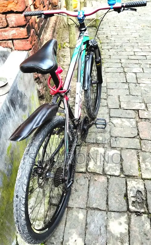 Phoenix Bicycle