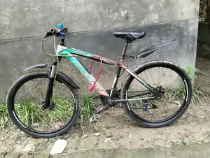 Phoenix Bicycle