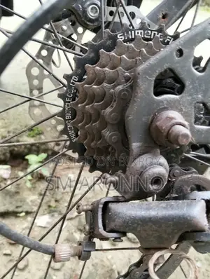 Phoenix Bicycle