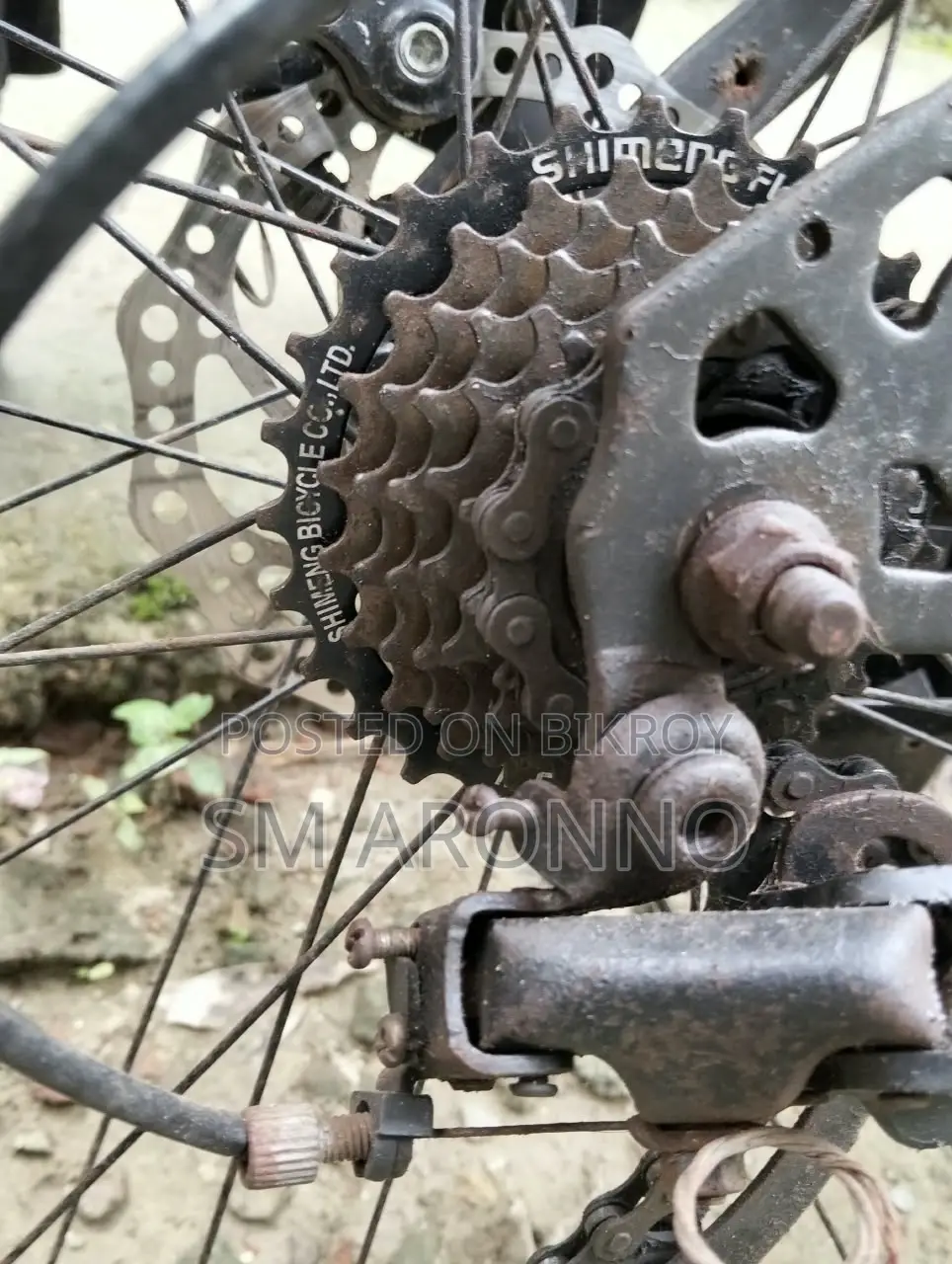 Phoenix Bicycle