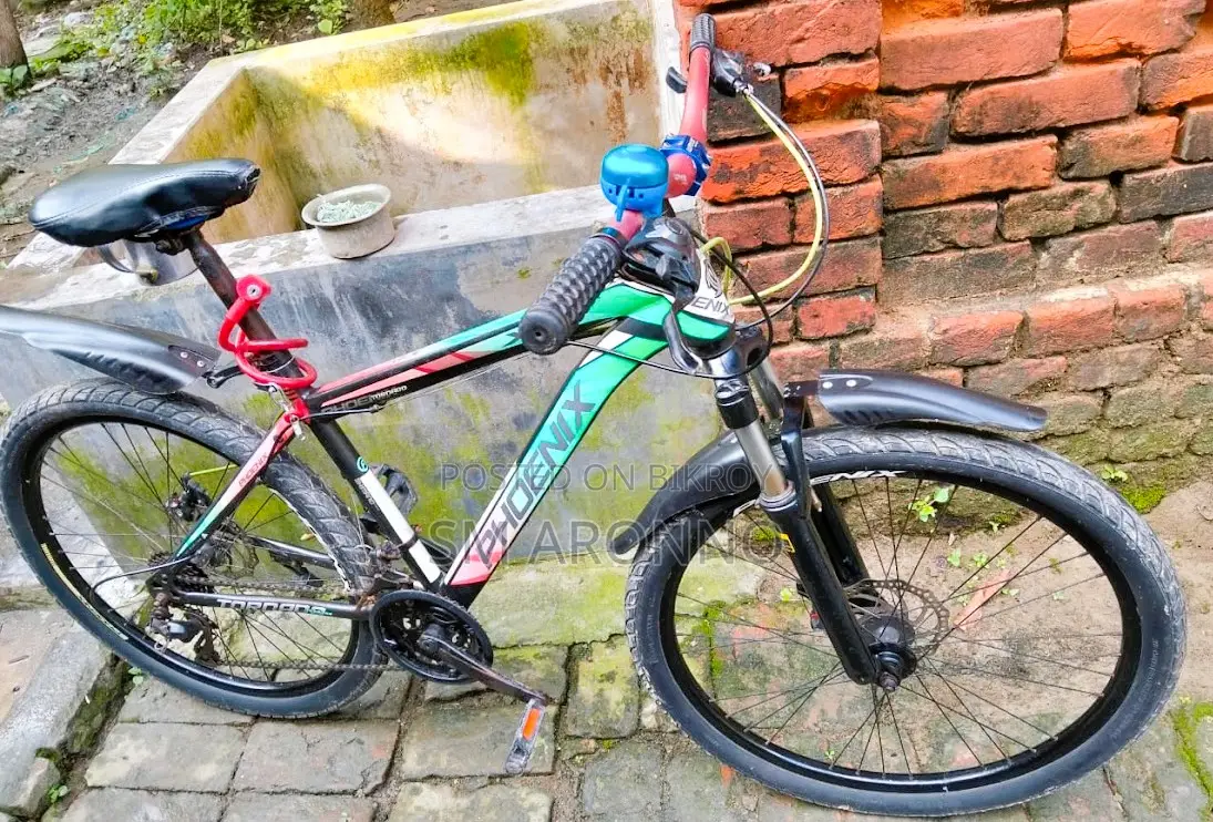 Phoenix Bicycle