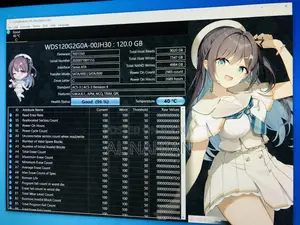Wd Green 120gb Sata SSD