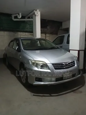 Toyota Axio 2011 Silver