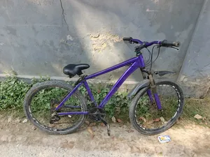 Phoenix Cycle