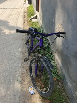 Phoenix Cycle