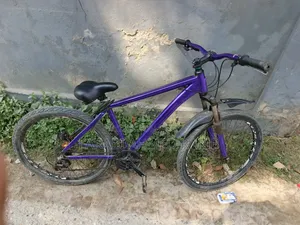 Phoenix Cycle