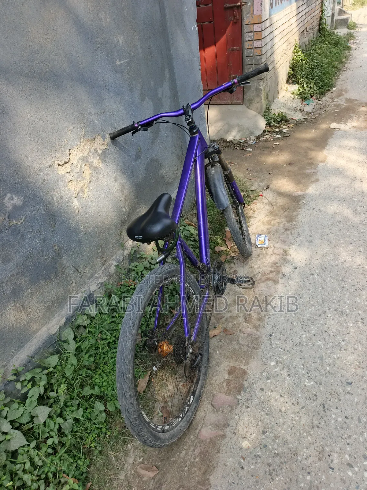Phoenix Cycle