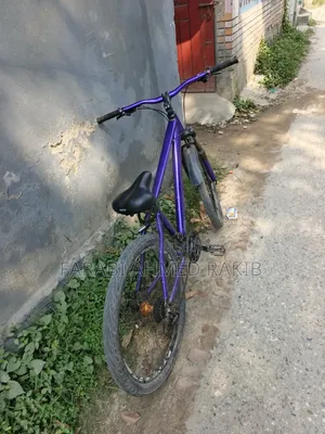 Phoenix Cycle
