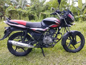 Bajaj Discover 100 2014 Red