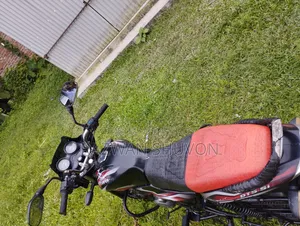 Bajaj Discover 100 2014 Red