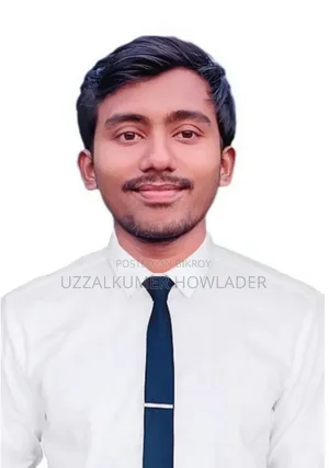 Sales Executive
