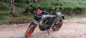 Yamaha MT-15 2021 White