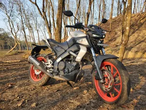 Yamaha MT-15 2021 White