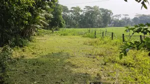 Urgent Sale of 6.67 Satak Land