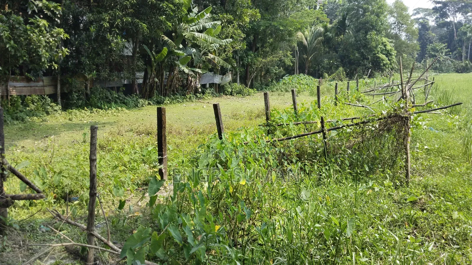 জরুরি ভিত্তিতে কম দামে ৬.৬৭ শতাংশ জমি বিক্রয়।