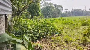 জরুরি ভিত্তিতে কম দামে ৬.৬৭ শতাংশ জমি বিক্রয়।