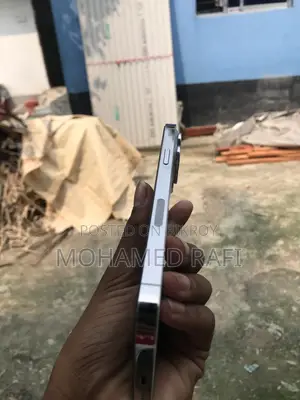 অ্যাপল আইফোন ১৩ প্রো ম্যাক্স ২৫৬ জিবি সাদা