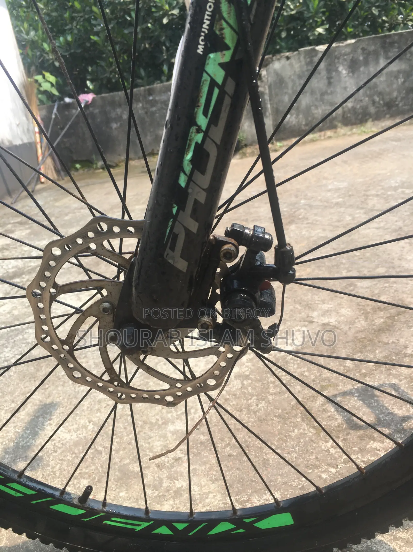 Phoenix Argus Gear Cycle