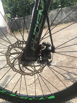 Phoenix Argus Gear Cycle