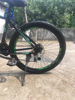 Phoenix Argus Gear Cycle