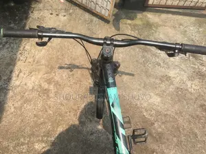 Phoenix Argus Gear Cycle