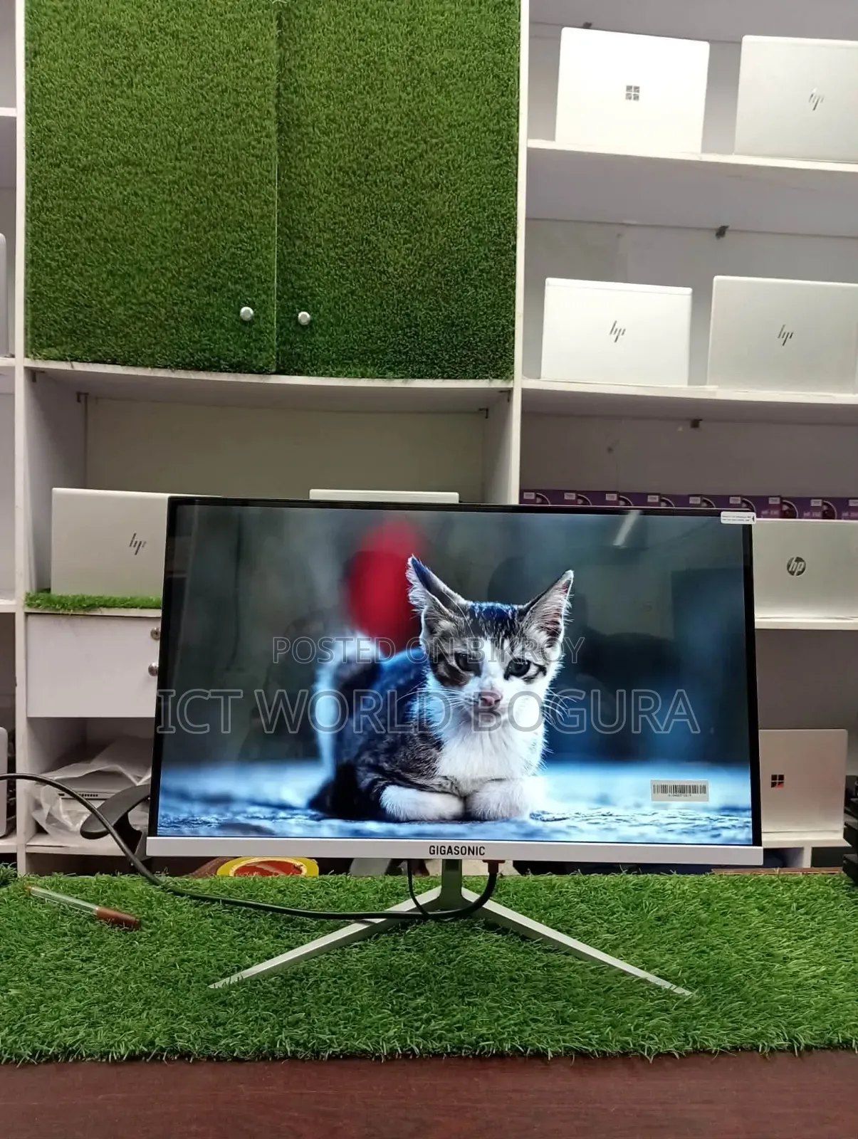 Monitor 22" Ips Panel