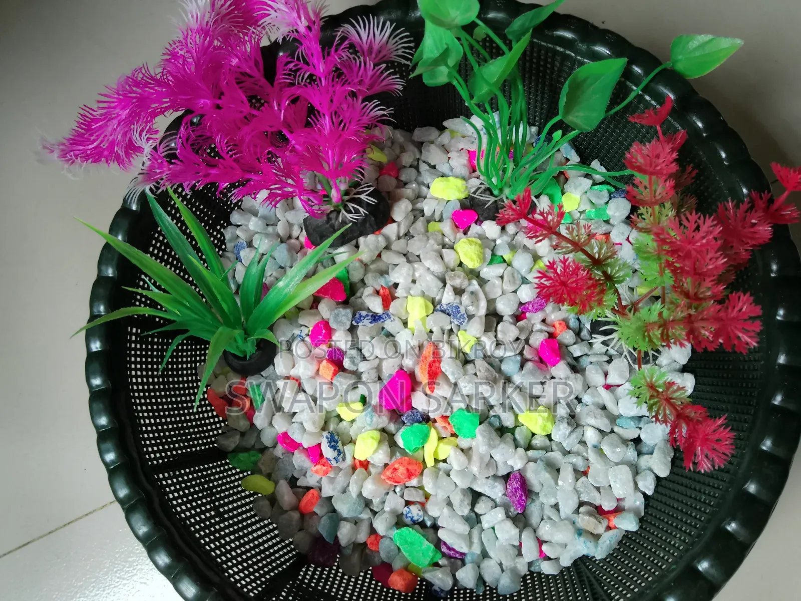 Aquarium for Fish