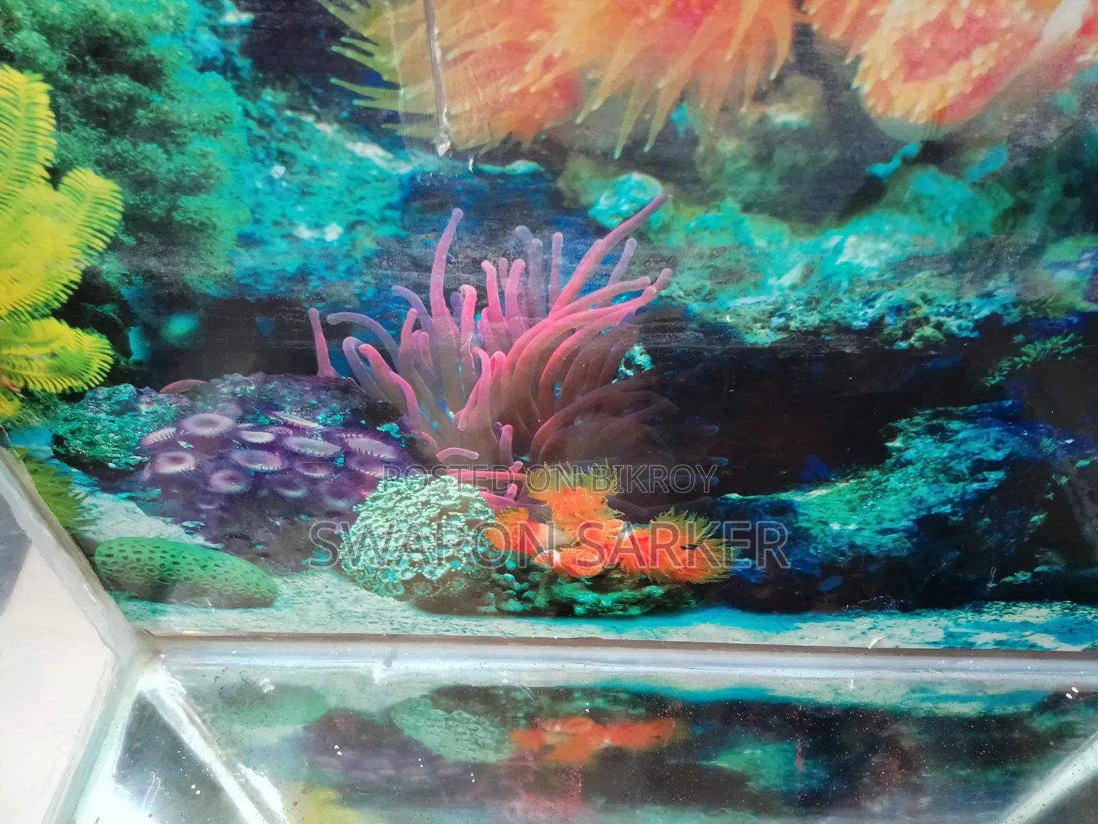 Aquarium for Fish